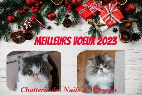 Voeux 2023 chatterie